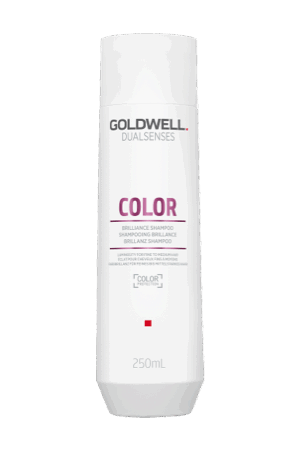 Goldwell Dualsenses Color Brilliance Shampoo 250 ml