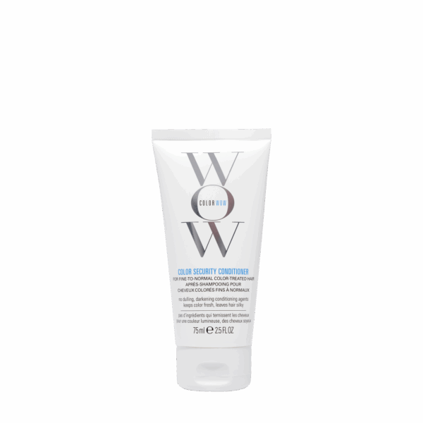 Travel Color Security Conditioner Fine to Normal